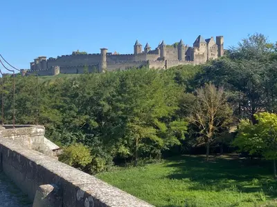 a castle on top of a hill with trees at Gîte chaleureux au cœur du village in Roquetaillade