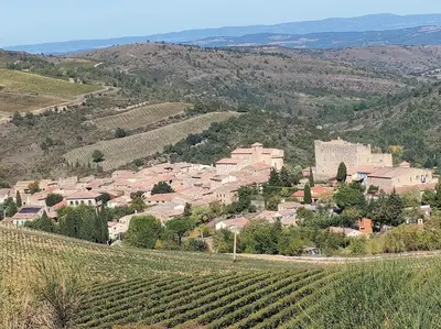 a small village on a hill with vineyards at Gîte chaleureux au cœur du village in Roquetaillade