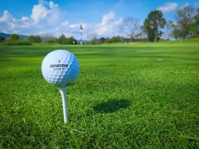 a golf ball on a tee in the grass at Au point du jour - Gîtes Carcassonne, Lac de la Cavayère in Carcassonne