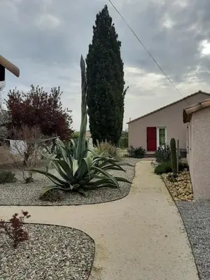 a garden with a cactus and a house at Tranquillité Gite in Cuxac-dʼAude