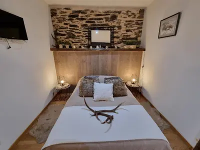 a bedroom with a bed and a tv on a wall at LE GITE SPA DU CEDRE BLEU in La Tourette-Cabardès
