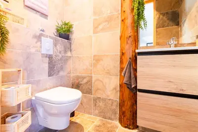 a bathroom with a toilet and a sink at LE GITE SPA DU CEDRE BLEU in La Tourette-Cabardès