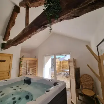 LE GITE SPA DU CEDRE BLEU