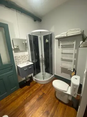 a bathroom with a shower and a toilet and a sink at Appart 55 in Mazamet