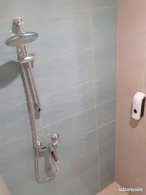 a shower in a bathroom with a toilet at L'Ancestrale, Beau T2 in Limoux