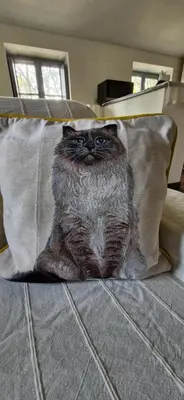 a cat on a pillow on a bed at La Robine in Narbonne