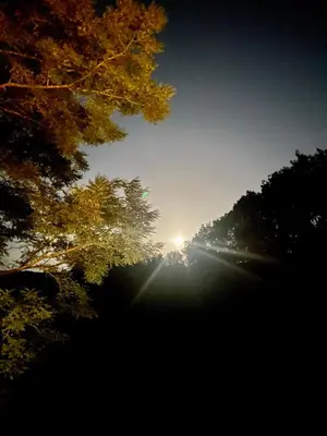a view of the sun shining through some trees at Cosy Camon Bolt-Hole in Camon