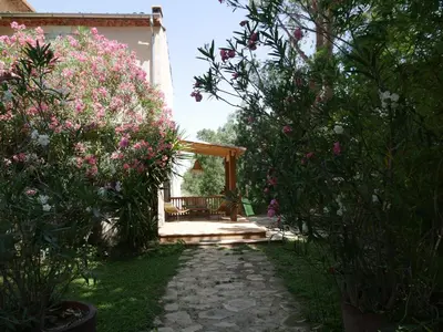 a garden with pink flowers and a patio with a bench at Domaine de Livière-Haute Narbonne in Narbonne