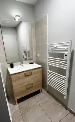 a bathroom with a sink and a mirror at Les Demoiselles de la Tour ! in Carcassonne