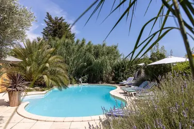 a swimming pool with chairs and a palm tree at Le Mas Rose in Villeneuve-lès-Montréal