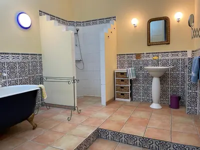 a bathroom with a shower and a sink and a tub at Große Ferienwohnung am Canal du MIDI mit Dachterrrasse in Homps