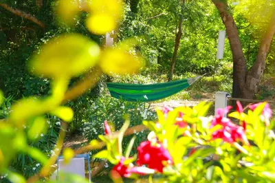 a green hammock in a garden with flowers at Gites entre 2 rives in Montolieu