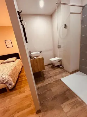 a bedroom with a bed and a shower and a toilet at Gites entre 2 rives in Montolieu