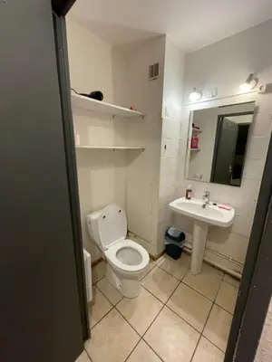 a bathroom with a toilet and a sink at Narbonne centre T2 avec jardinet et parking in Narbonne