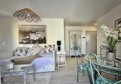 a living room with a couch and a potted plant at Centre Carcassonne apartment with private sunny terrace in Carcassonne