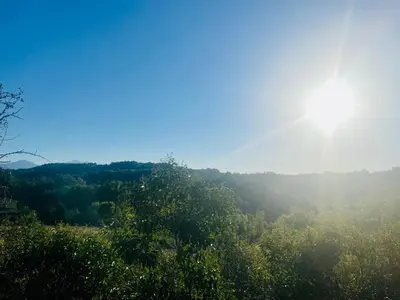 a view of a forest with the sun in the sky at Flower Camping La Pibola in Camon