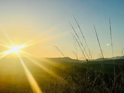 a sun setting over a grassy field with mountains in the background at Flower Camping La Pibola in Camon