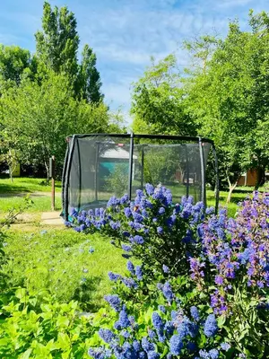 a garden with purple flowers and a greenhouse at Flower Camping La Pibola in Camon