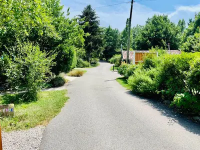 a winding road with bushes and trees on both sides at Flower Camping La Pibola in Camon