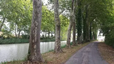 a dirt road next to a river with trees at DOMAINE LA MASQUIERETTE in Villepinte