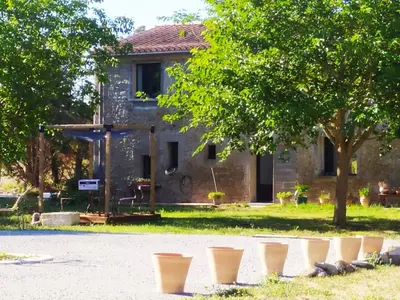 a group of flower pots in front of a house at DOMAINE LA MASQUIERETTE in Villepinte