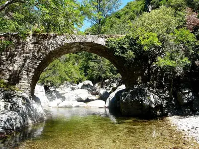 an old stone bridge over a stream of water at La Mazette, les pieds dans l'eau ! Privatisée ! 16 Pers in Olargues