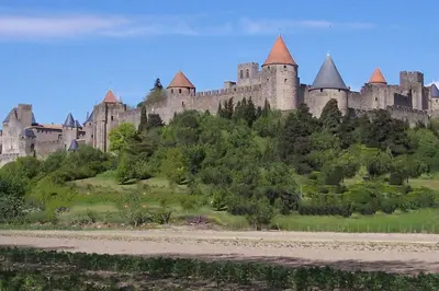 a large castle on top of a hill with trees at Gîte avec Piscine Proche de Carcassonne in Couffoulens