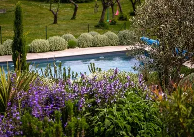 a swimming pool in a garden with purple flowers at Gîte - Holiday Home Vent Autan in Limoux