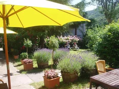 a patio with a yellow umbrella and some plants at La Cerisaie - Chambres d'hôtes & gites in Riols