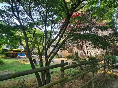 a wooden fence in a yard with a tree at Domaine La Sauzette in Palaja