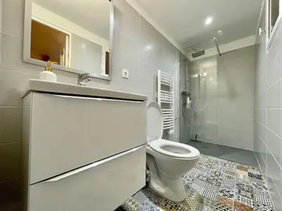 a white bathroom with a toilet and a shower at Appartement confort - Carcassonne centre in Carcassonne