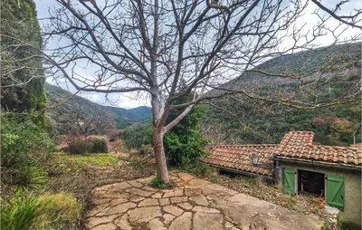 a tree sitting next to a building with a tree at Cozy Home In Olargues With Kitchen in Olargues