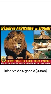 a poster for a zoo with a lion on it at Le clin d'oeil sur le port. in Gruissan