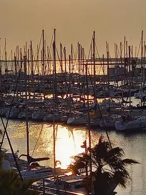 a group of boats docked in a marina at sunset at Le zéphyr in Gruissan