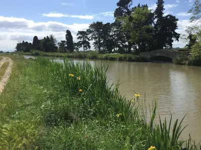 a river with a bridge and some grass and flowers at Maison Ventenac village house in Ventenac en Minervois