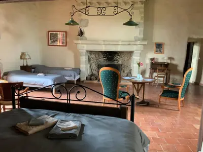 a living room with two beds and a fireplace at Château de Mézerville in Mézerville