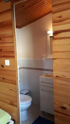 a bathroom with a toilet and a sink at Cabane randonneur au camping in Camurac