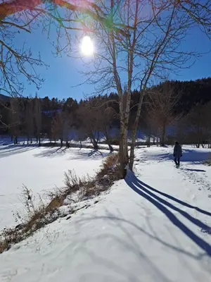 a person walking in the snow next to a tree at Cabane randonneur au camping in Camurac