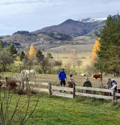 a group of people looking over a fence at cows at Cabane randonneur au camping in Camurac