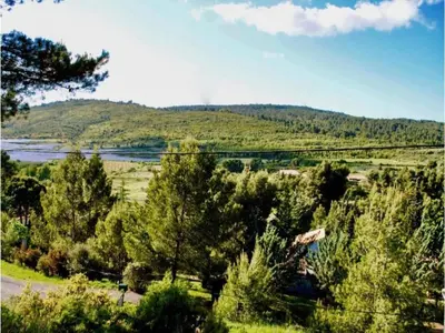 a view of a field with trees and a mountain at Modern Comfort in Minervois in Pouzols-Minervois