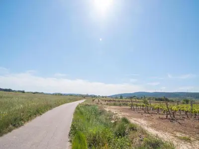a dirt road in the middle of a field at Modern Comfort in Minervois in Pouzols-Minervois
