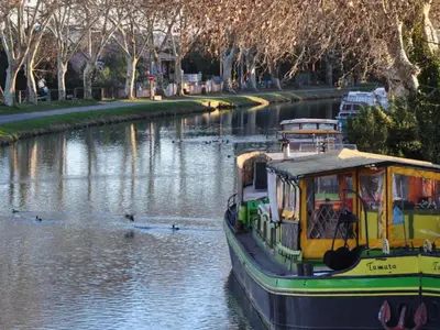 a boat on a river with ducks in the water at Modern Comfort in Minervois in Pouzols-Minervois