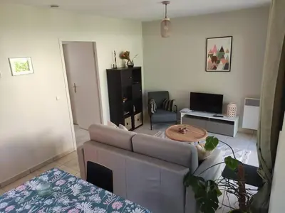 a living room with a couch and a table at Charmant T2 moderne au calme avec jardin vue sur Canigou in Molitg les Bains
