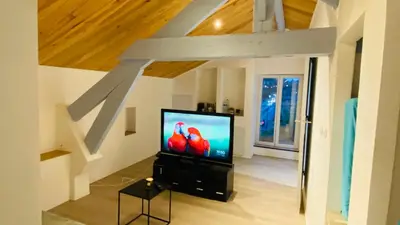 a television with two birds on it in a living room at Studio Cros climatisé in Castres