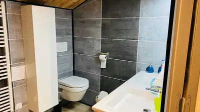 a small bathroom with a toilet and a sink at Studio Cros climatisé in Castres