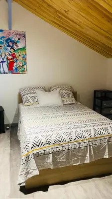 a bedroom with a bed with a comforter and pillows at Studio Cros climatisé in Castres