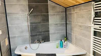 a bathroom with a shower and a white sink at Studio Cros climatisé in Castres