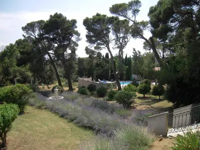 a garden with purple flowers and trees and a pool at Marrakech Guest Room in the heart of the vineyard in Badens