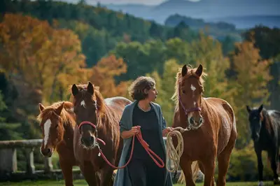 a woman leading two brown horses on a field at Château de Sibra in Lagarde