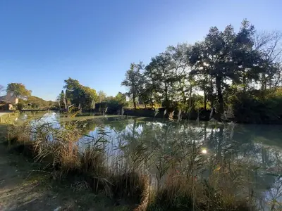 a body of water with trees and grass at Le mas de l'ecluse in Caux-et-Sauzens